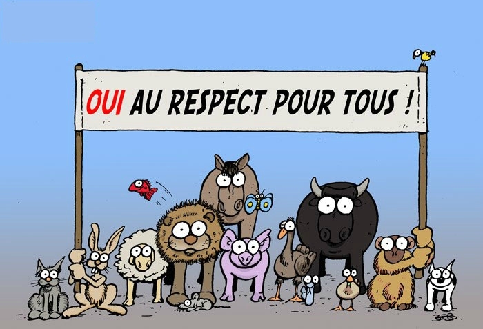 Le blog générateur de sourires animaliers