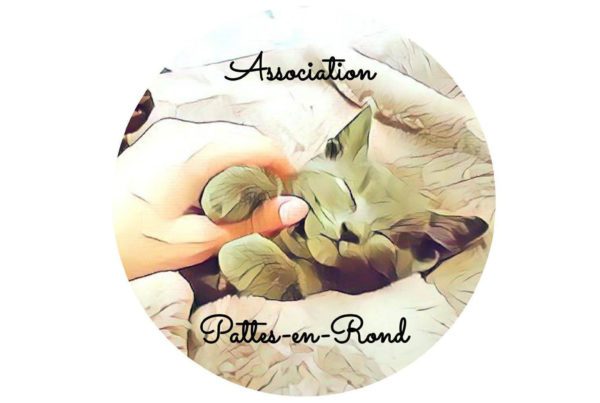 Partenariat entre Smiling Pets et l'association pattesenrond