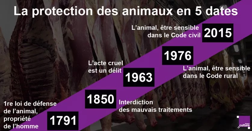 Blog Smiling Pets: La protection des animaux en 5 dates