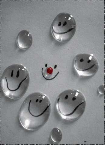Blog Smiling Pets: Des gouttes d'eau pour des sourires
