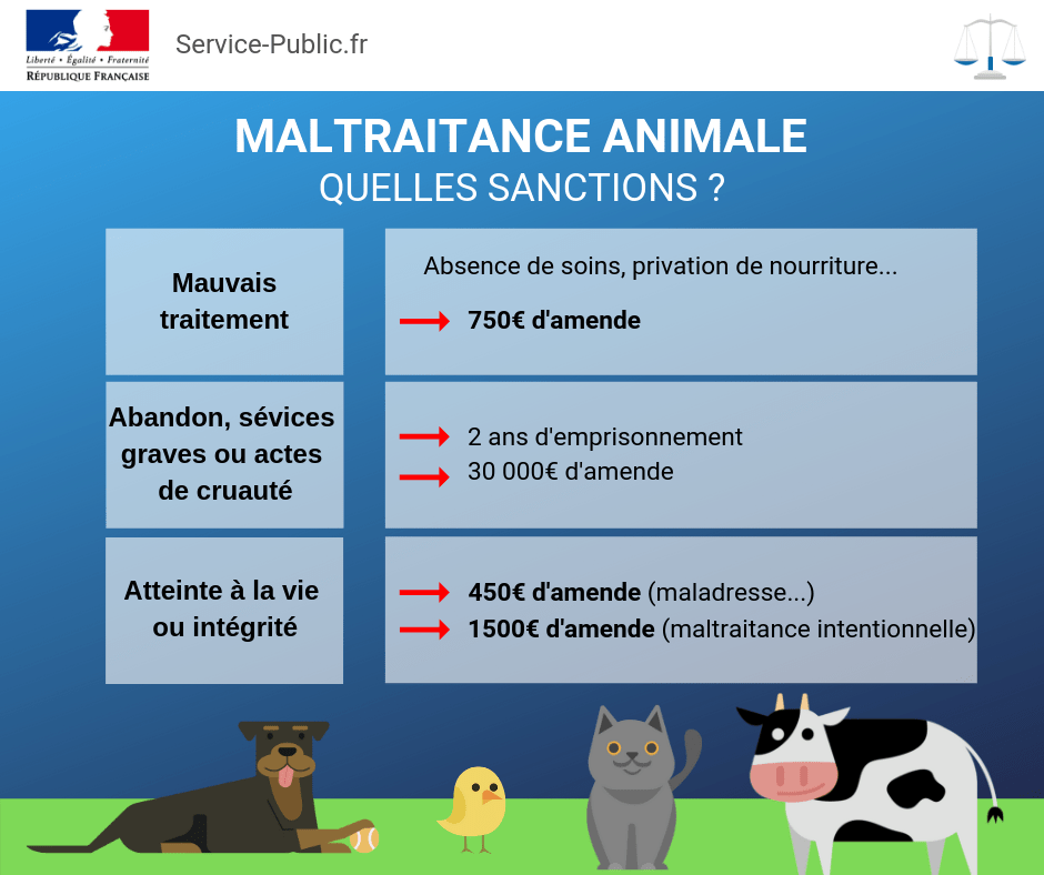 Les sanctions en cas de maltraitance animale