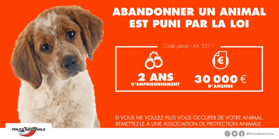 Abandonner un animal est puni par la loi