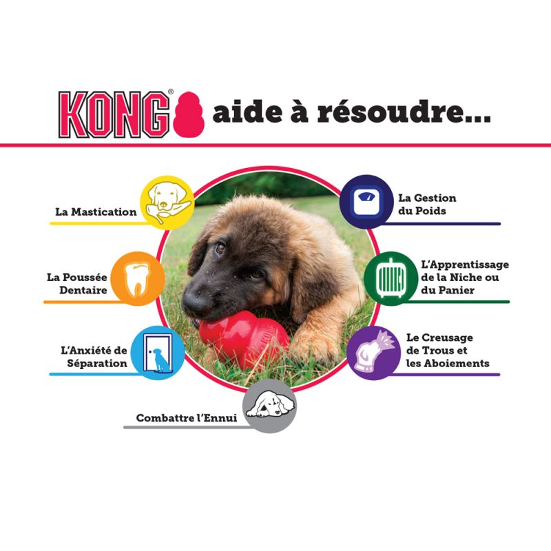 Accueilir un chiot/ les accessoires indispensables