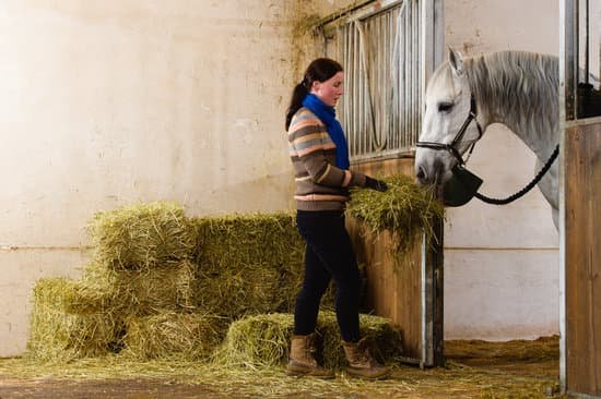 Les frais d'hébergement du cheval