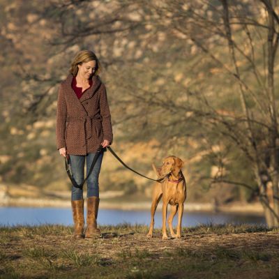 Laisse 3 points pour chien