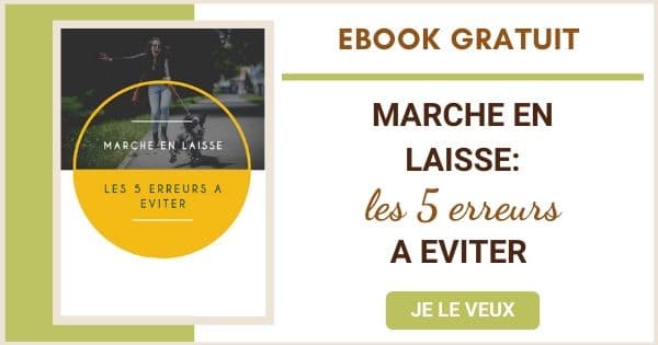 Marche en laisse: 5 erreurs à éviter