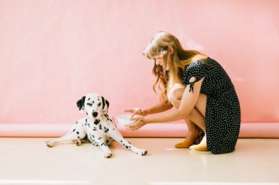 Les odeurs que votre chien déteste