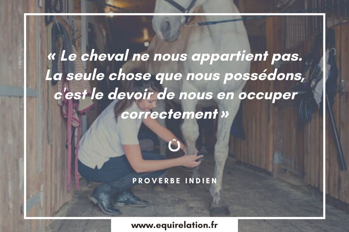 Les 75 Plus Belles Citations Sur Les Chevaux Equirelation