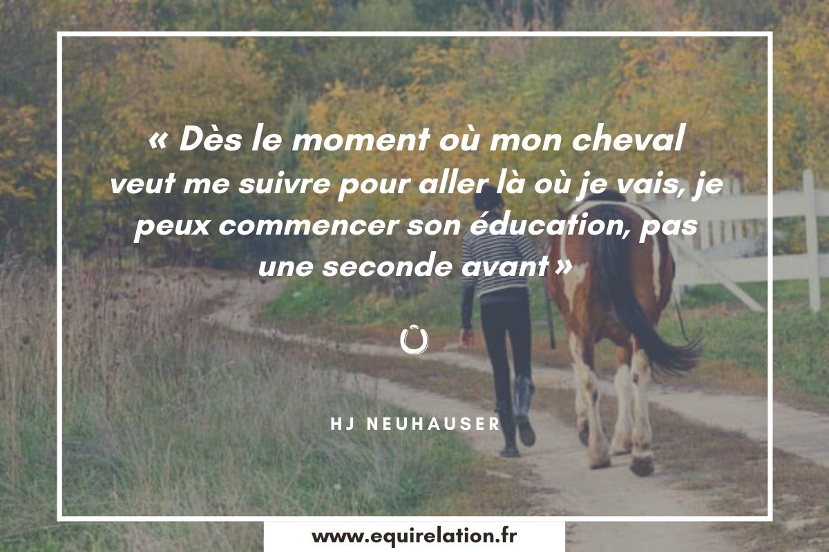 Les 75 Plus Belles Citations Sur Les Chevaux Equirelation