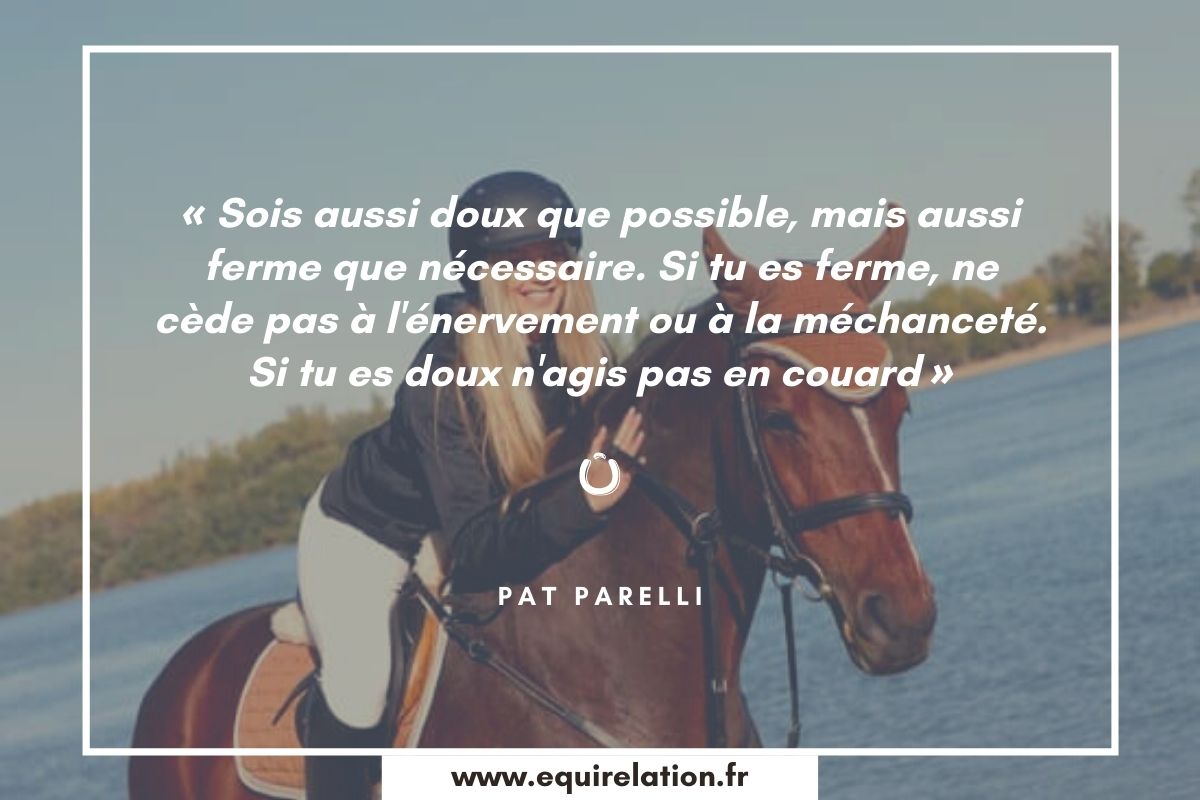 Les 75 Plus Belles Citations Sur Les Chevaux Equirelation