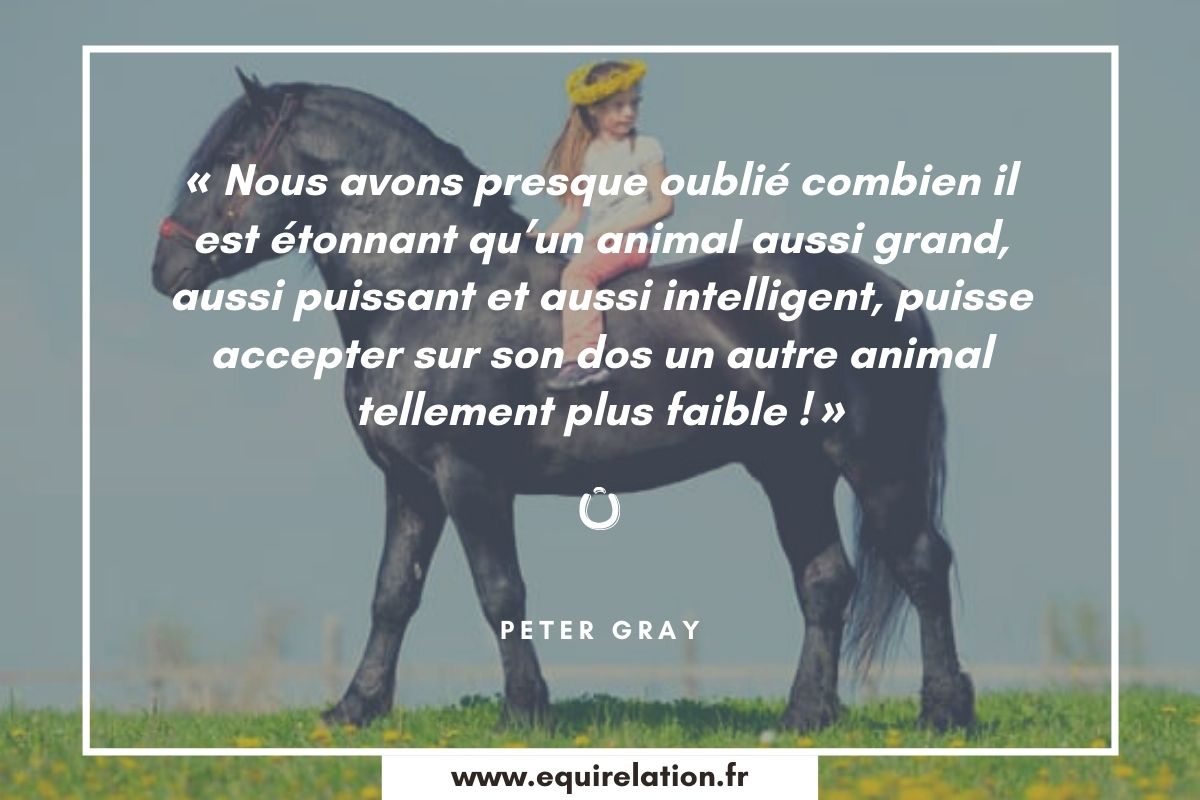 Les 75 Plus Belles Citations Sur Les Chevaux Equirelation