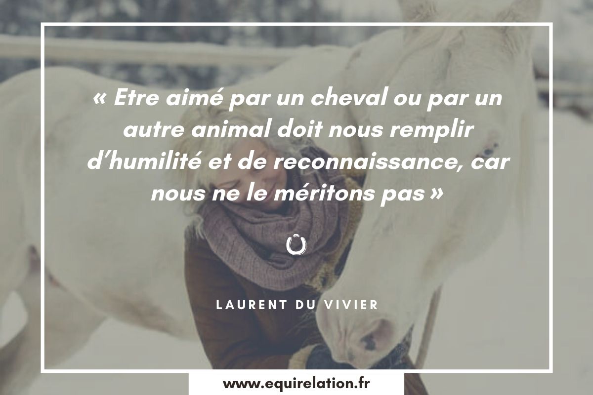 Etre Aime Par Un Cheval Equirelation Etre Aime Par Un Cheval Equirelation