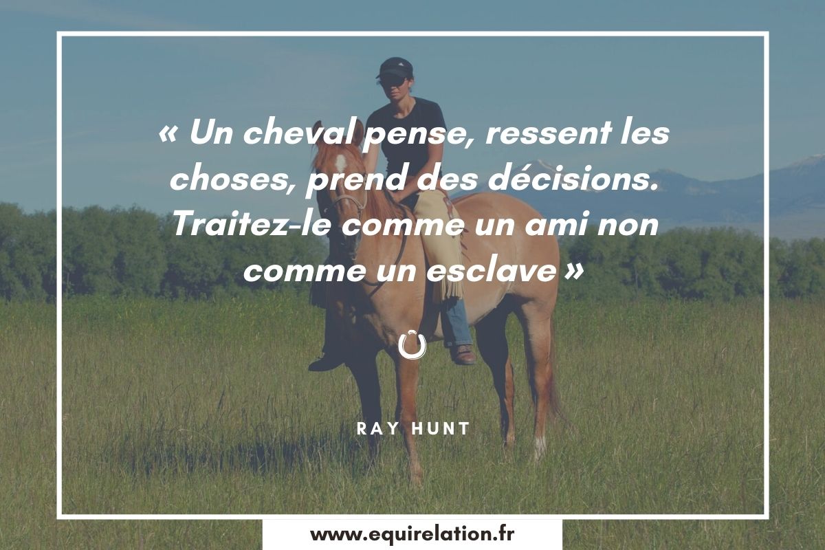 Proverbe Français Mieux : Il vaut mieux perdre un bon mot qu'un ami.