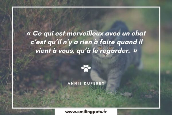Citation chat Annie Duperey