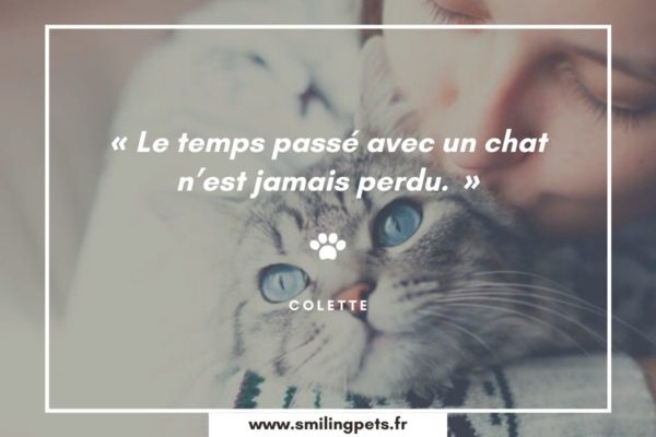 Citation chat Colette