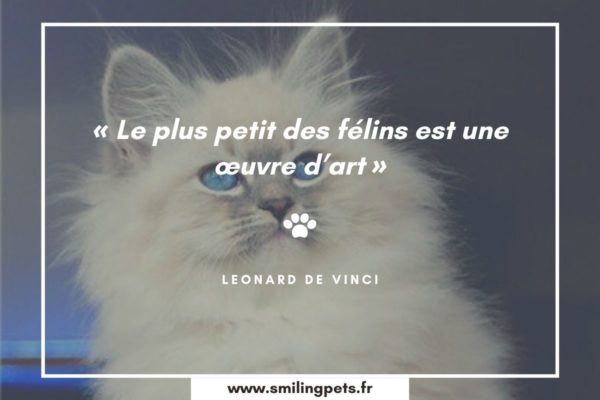 Citation chat Leonard de Vinci