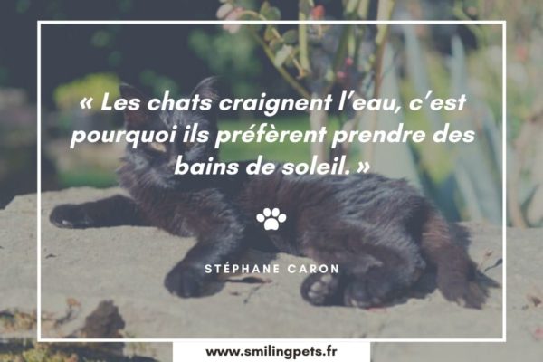 Citation chat Stéphane Caron