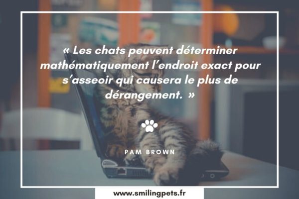 Citation chat Pam Brown