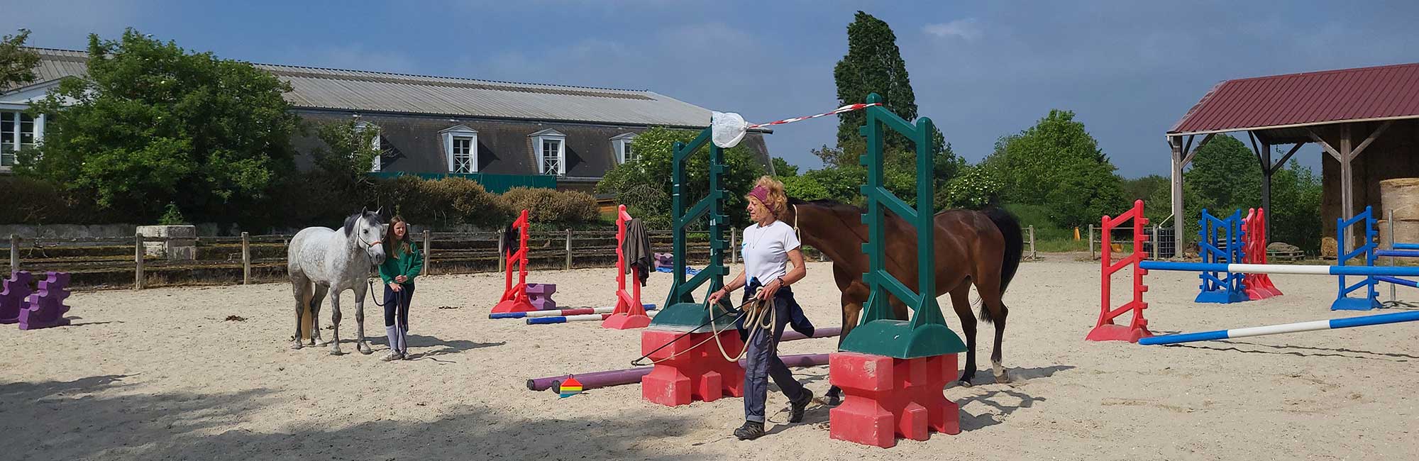 Stages d'équitation éthologique en Ile de France