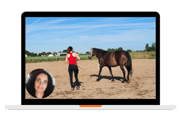 Coachings éthologie en visioconférence